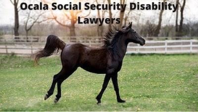 Ocala Social Security Disability Lawyers
