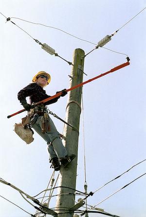 Workers Electrocuted
