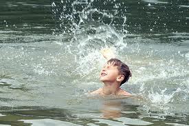Homosassa Toddler Drowns in Lake
